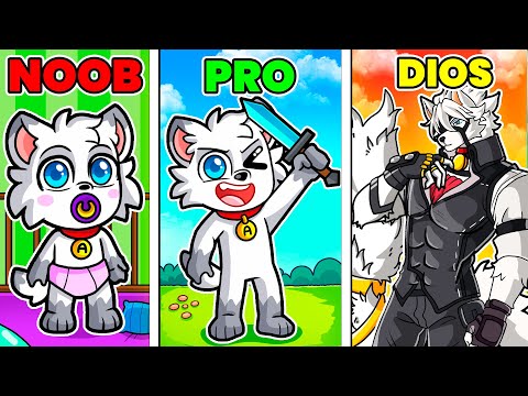 Paso de Furro NOOB VS PRO VS DIOS 😱🐶 Alexy en Zenless Zone Zero