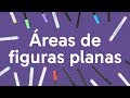 Area and Perimeter Concepts