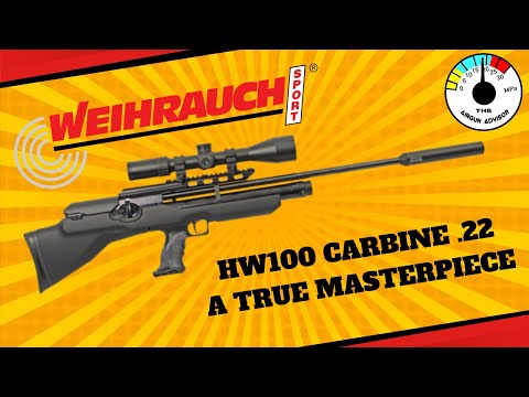 Don't Miss OUT! Weihrauch HW100 Carbine in .22