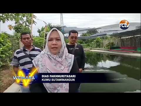 Kluster Ketapang Sutawinangun Dikunjungi Sekolah