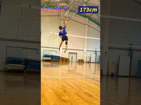 低身長なら飛べ！ #volleyball #volleyballworld #ジャンプ力