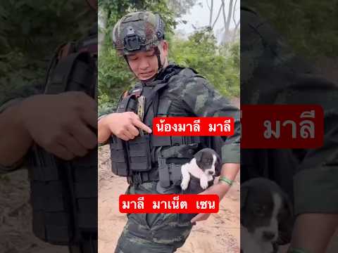 น้องมารี น้องมาเนต น้องเซนต์ น่ารัก #hunsen #khmerfunny #CambodiaLiesToTheWorld #khmertiktok #khmer