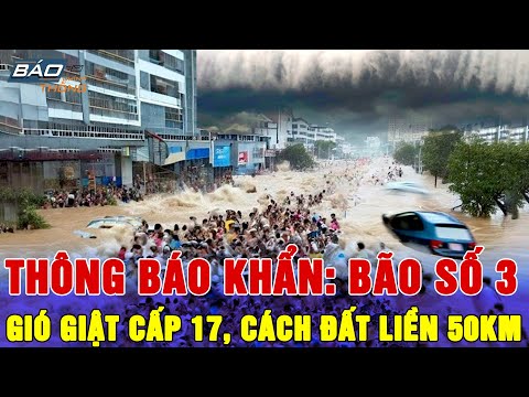 🔴TIN BÃO KHẨN CẤP: Bão Số 3 Diễn Ra Theo Kịch Bản Tồi Tệ Nhất | Thủ Tướng Ra Công Điện Khẩn