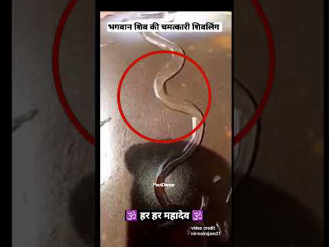 🕉️ भगवान शिव की सबसे चमत्कारी शिवलिंग Live 🛑 || #shorts