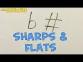 Music Theory Concepts and Terminology