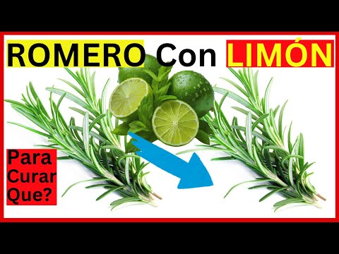 ROMERO Con LIMÓN Para que Sirve | Asombroso Resultados, Un Remedio Urgentes