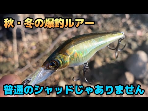 秋〜冬のバス釣りには必須ルアー。普通のようで普通じゃない新製品シャッド！【ラトゥール】【デュエル】【バス釣り】