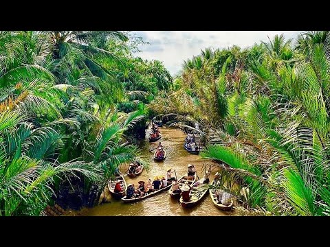 CÔ NĂM CÀ MAU : CƠM NHÀ MIỀN TÂY VÙNG NÔNG THÔN