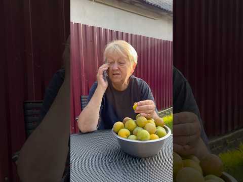 Зять злакомився на сливку😅