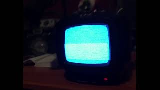 We Finally Now Made Dog TV! (Ralphie Only forever)