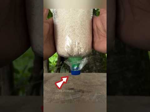 This trick is really useful 🤯🔥 #shorts #malayalam