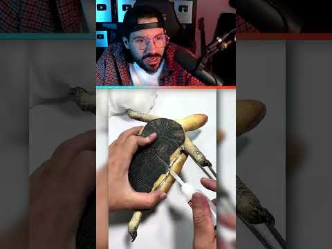 🐢Le Résultat Est Incroyable