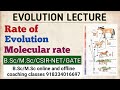 Equine Evolution and Dental Adaptations