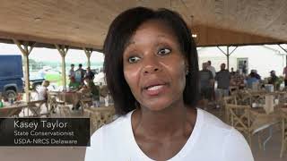 Crabs and Conservation 2019