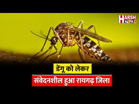 डेंगू को नियंत्रित करने जारी की गई एडवाइजरी | Harsh News