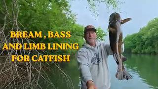 RIVER FISHING AND LIMB LINING