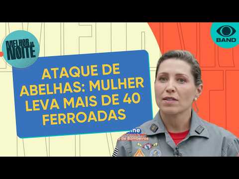 Alerta para ataques de abelhas; saiba o que fazer