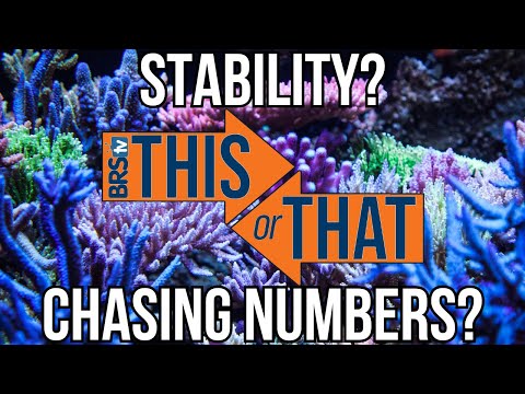 Chasing Numbers vs. Stability – What REALLY Matt In this episode of This or That, we're diving into one of the most common reef tank debates_ should 