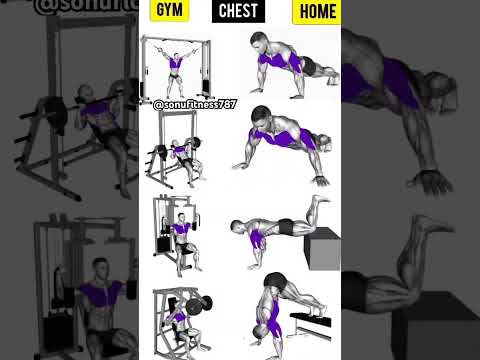 Fitness plus | fitness | fitness workout |