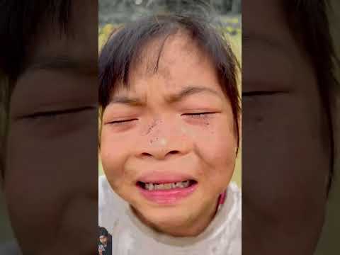 আমি আবার ক্যান্ডি গাছ বানিয়ে তুলব
