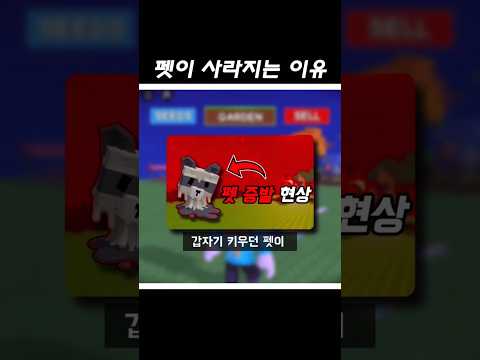 그로우 어 가든 하루 아침에 펫이 갑자기 증발.. #로블록스 #그로우어가든