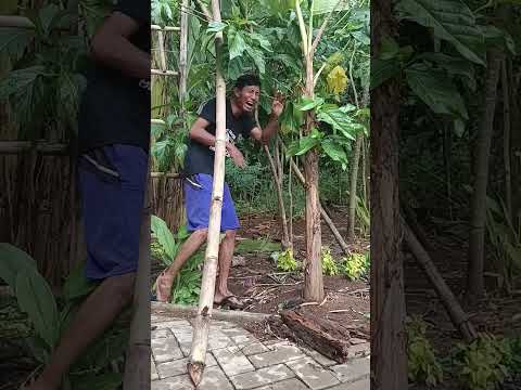 MUMPUNG ADA KESEMPATAN  #komedilucuviral #funny #comedy #komedingakak
