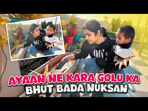 Ayaan Ne Kara Golu Ka Bhut Bada Nuksaan