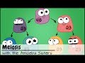 Understanding Meiosis