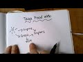 Taiga Ecosystem and Food Web