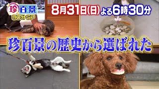 動画サムネイル