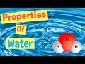 Exploring the Unique Properties of Water