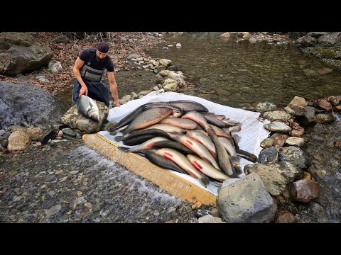 Fishing With a Perforated Plank / Magnificent Trap