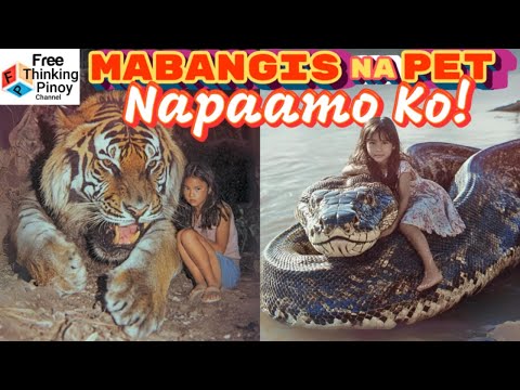 Mabangis na hayop ginawang House PETS | Top 10 Wild Dangerous pets