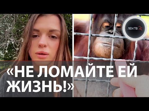 «Не ломайте Насте жизнь!»: в крымском «Тайгане» заступились за спортсменку, давшую вейп орангутану