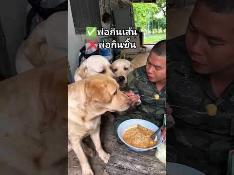 "พ่อกินเส้น ลูกกินชิ้น" ขอขอบคุณคลิปน่ารักๆ พอได้ผ่อนคลาย...😂😂😂 #ทหารไทย #ทหารสายฮา