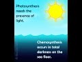 Photosynthesis and Synthesis Concepts