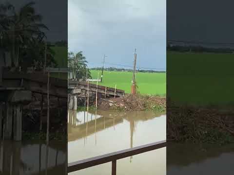 ngày 28 tháng 10, 2025