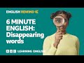 Evolution of the English Language