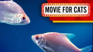 Movie for cats - Silver fish (Video for Cats to watch)