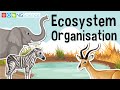 Ecosystem Components and Interactions