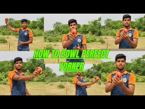 How to bowl a perfect yorker | how to bowl air swing Yorker | Yorker bowling tips #cricket #yorker