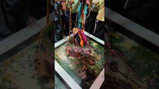 Rudrabhishek 04082025