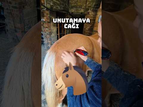 Atına Unutamayacağı Bir Hatıra Bıraktı 😢