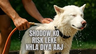 Shadow ko aaj risk leke nhla hi diya