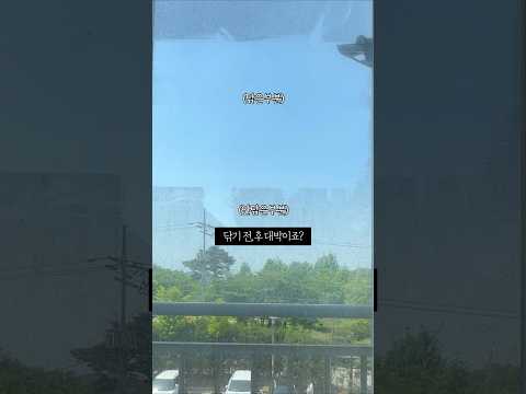 믿기힘든 쓰리잘비 창문 청소법