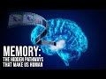 Understanding Memory and Emotion