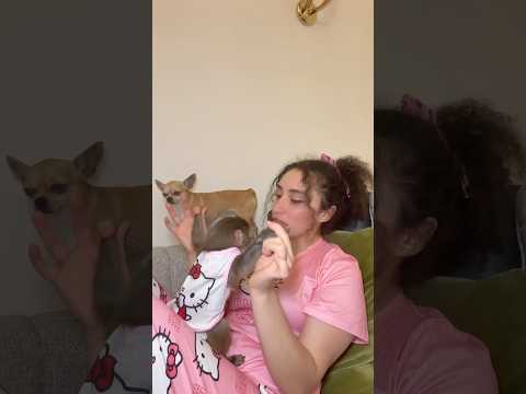 تابعوني  rose.alaaa سناب لتشوفو يومياتي مع لحيوانات