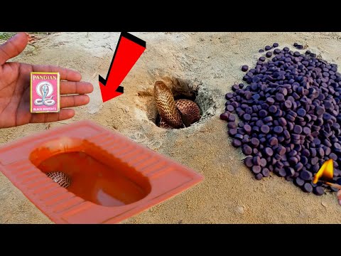 50,000 BIG 🐍 SNAKE BOMB | Diwali Unique Patakha Testing 2024