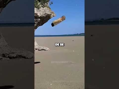 É assim que Areia Movediça funciona 😳😳