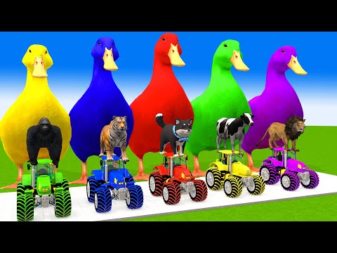 5 Giant Duck Cartoon,Cow,Zebra,Mammoth,Tiger,Dog,Lion Paint Animals Wild Crossing Fountain Animation